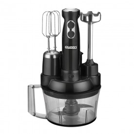 Queen Blendmix Pro 5'li Blender Set - Siyah